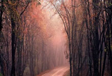 开云平台-火箭横扫76人，巴恩斯打破历史纪录—勇士荣耀再升级