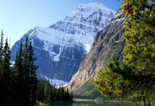 开云体育在线-美国奇迹逆袭里昂，穆勒绝杀成就传奇