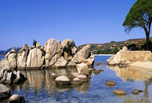 开云体育平台APP-安菲尔德奇迹再现！利物浦化身三狮军团终结德国战车