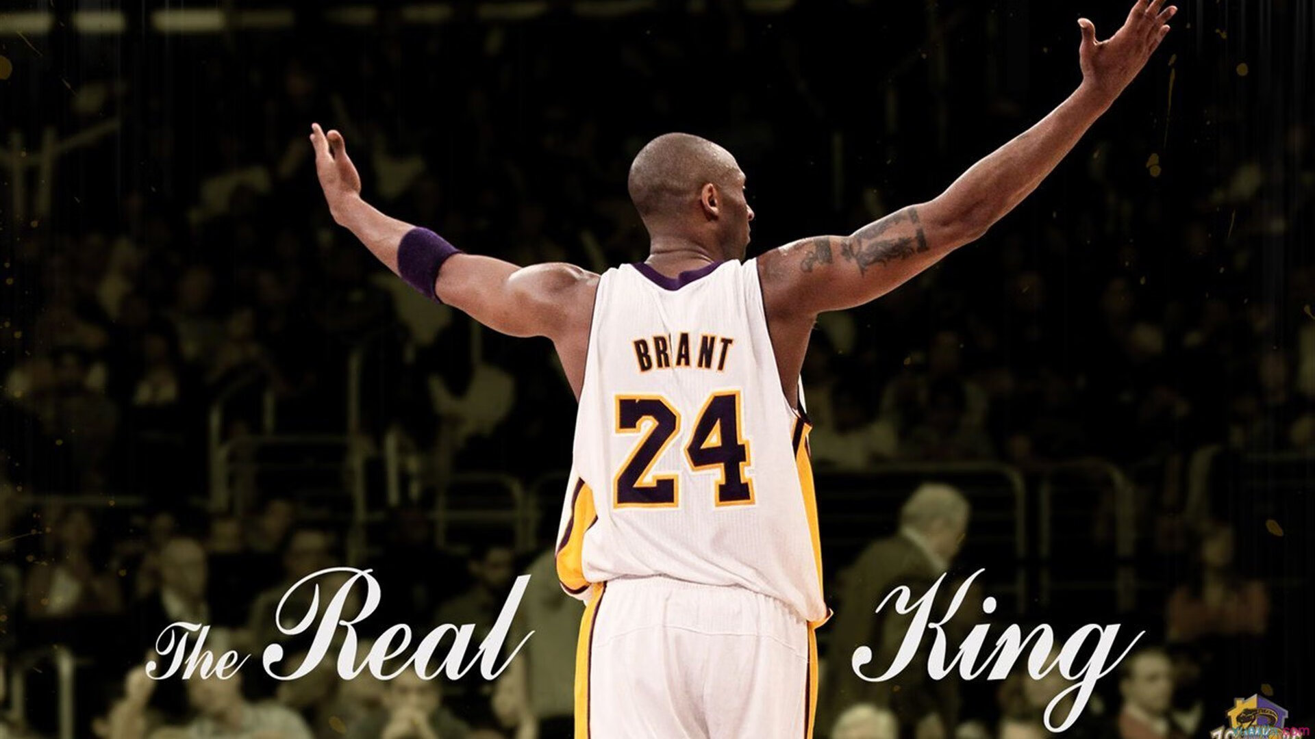 虚拟巅峰,深圳队欧冠半决赛险胜开拓者,跨界想象引爆热议